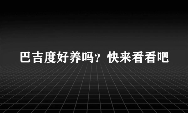 巴吉度好养吗？快来看看吧