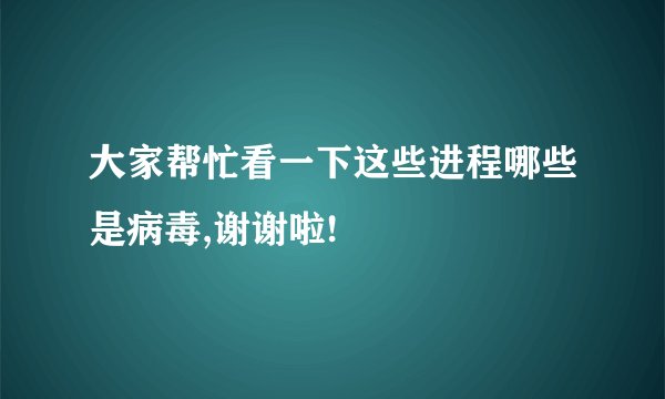 大家帮忙看一下这些进程哪些是病毒,谢谢啦!
