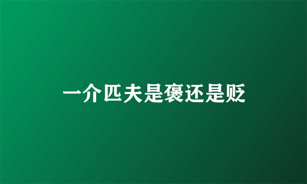 一介匹夫是褒还是贬