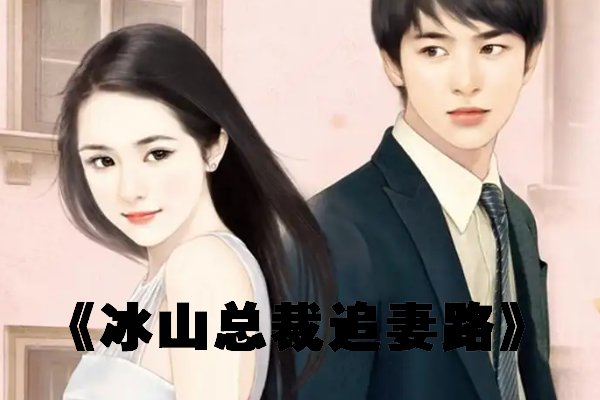 冰山总裁追妻路顾清欢结局