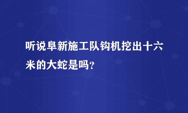 听说阜新施工队钩机挖出十六米的大蛇是吗？