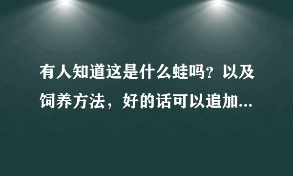 有人知道这是什么蛙吗？以及饲养方法，好的话可以追加10分！