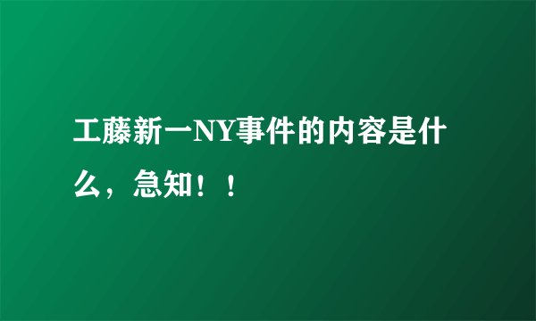 工藤新一NY事件的内容是什么，急知！！