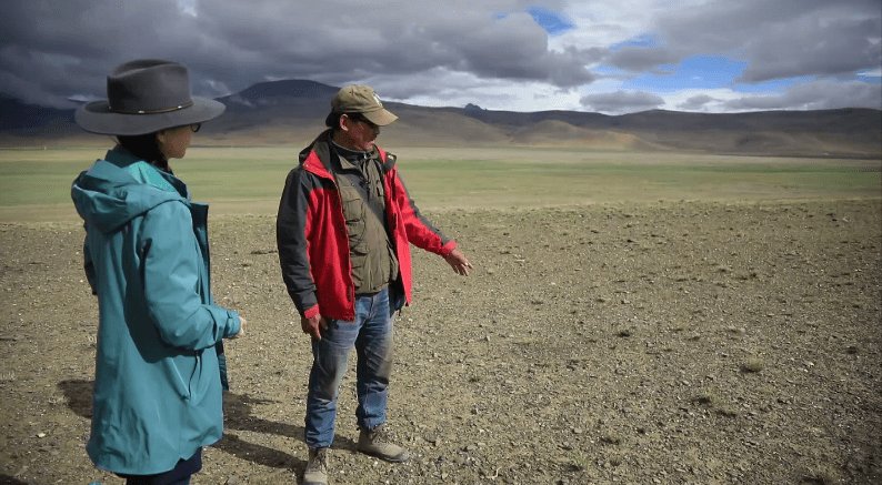 西藏夏达错遗址发现8000年前磨制石针,这一发现有何价值?