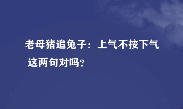 老母猪追兔子：上气不按下气 这两句对吗？