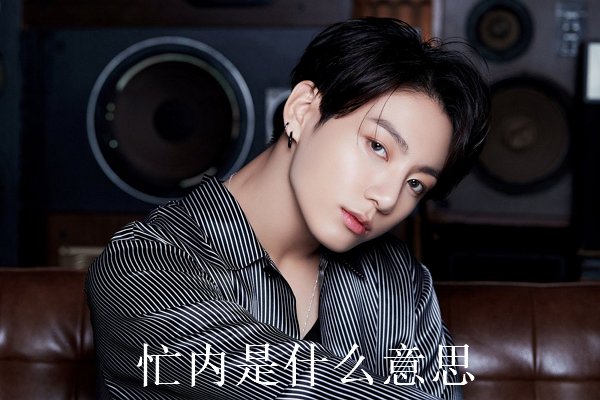 忙内是什么意思