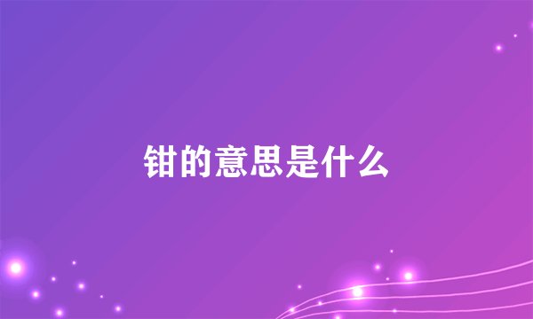 钳的意思是什么