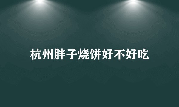 杭州胖子烧饼好不好吃