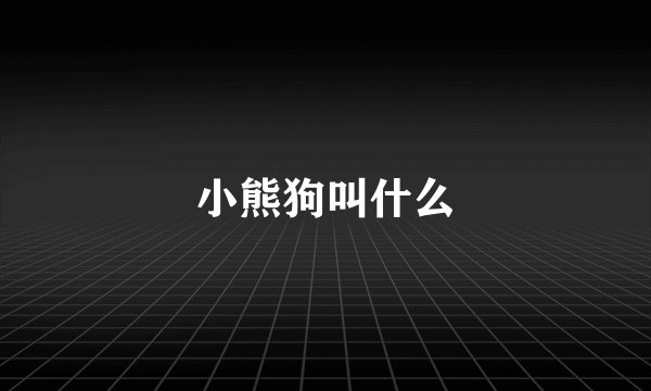 小熊狗叫什么