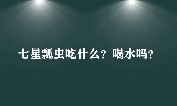 七星瓢虫吃什么？喝水吗？