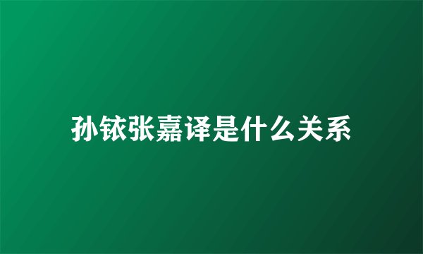 孙铱张嘉译是什么关系