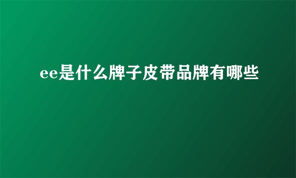 ee是什么牌子皮带品牌有哪些