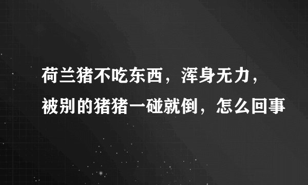 荷兰猪不吃东西，浑身无力，被别的猪猪一碰就倒，怎么回事