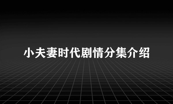 小夫妻时代剧情分集介绍