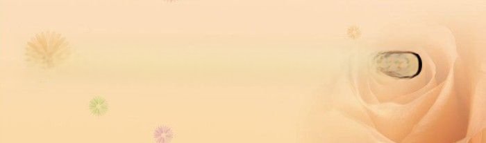 排水量是什么东西(排水量是什么意思)