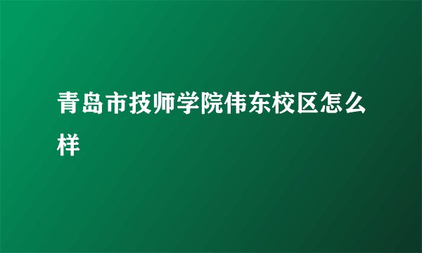 青岛市技师学院伟东校区怎么样
