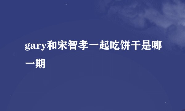 gary和宋智孝一起吃饼干是哪一期