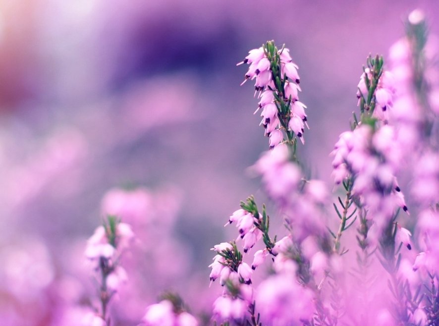 英语怎么说一夜之间？