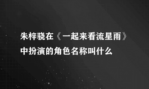 朱梓骁在《一起来看流星雨》中扮演的角色名称叫什么