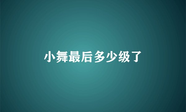 小舞最后多少级了