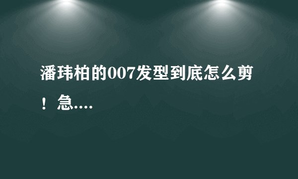 潘玮柏的007发型到底怎么剪！急....