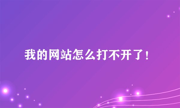我的网站怎么打不开了！
