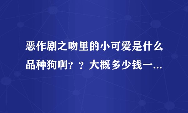 恶作剧之吻里的小可爱是什么品种狗啊？？大概多少钱一只啊？？