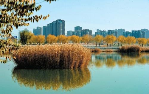 银川醉酒男子地震中叫醒妻子反被打，女人的危机意识有多薄弱？