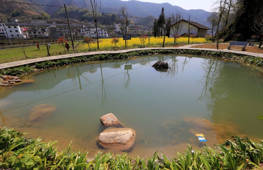 pool怎么读