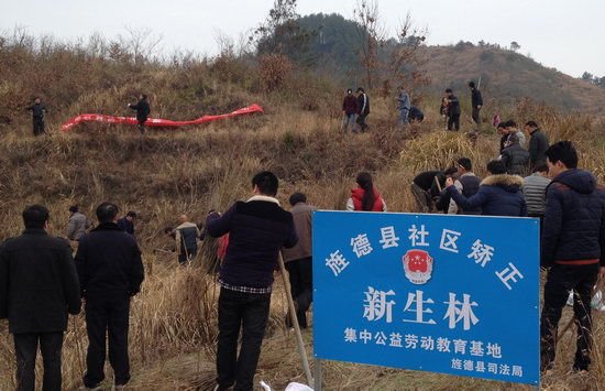 旌德论坛的论坛构架