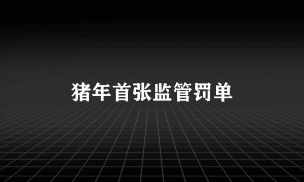 猪年首张监管罚单