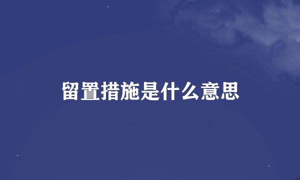 留置措施是什么意思