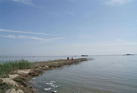 洞庭湖因干旱导致大量鱼类被困死亡，如何降低干旱带来的损失？