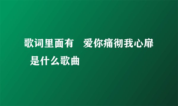 歌词里面有   爱你痛彻我心扉   是什么歌曲
