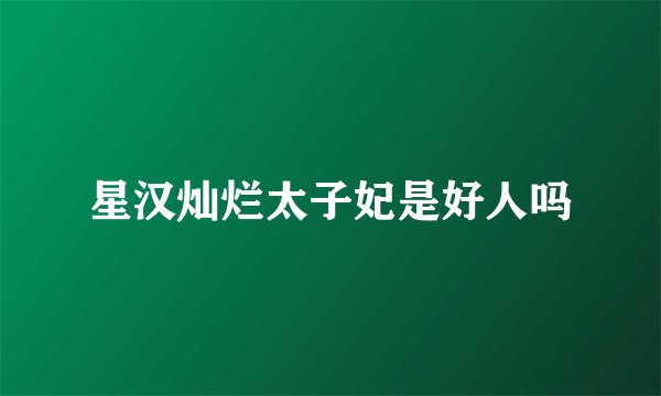 星汉灿烂太子妃是好人吗