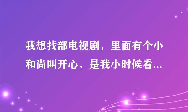 我想找部电视剧，里面有个小和尚叫开心，是我小时候看过的，谁知道这电视剧叫什么名字？
