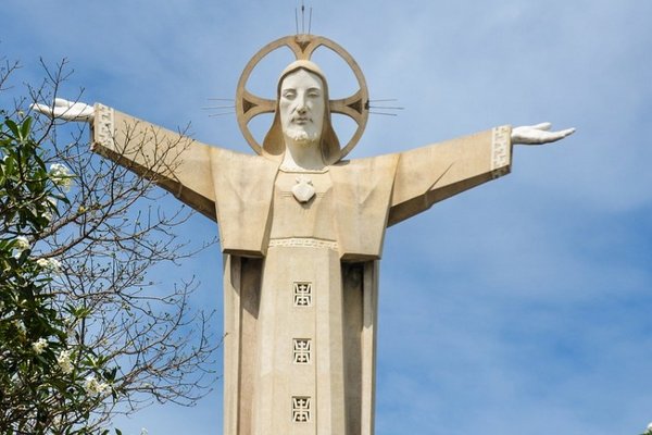 Joey是什么意思？