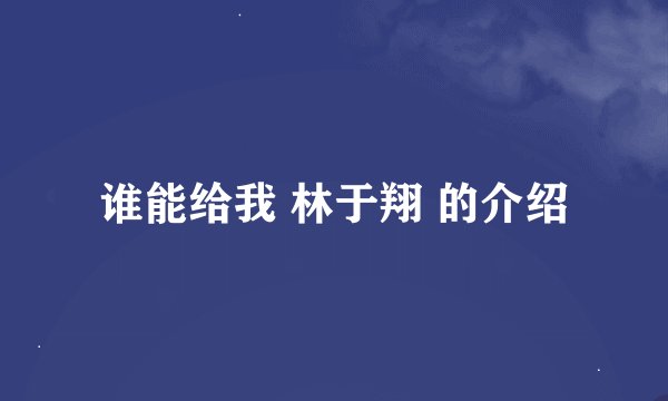 谁能给我 林于翔 的介绍