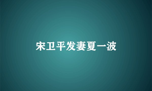 宋卫平发妻夏一波