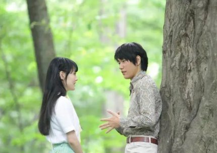 电影挪威的森林影评