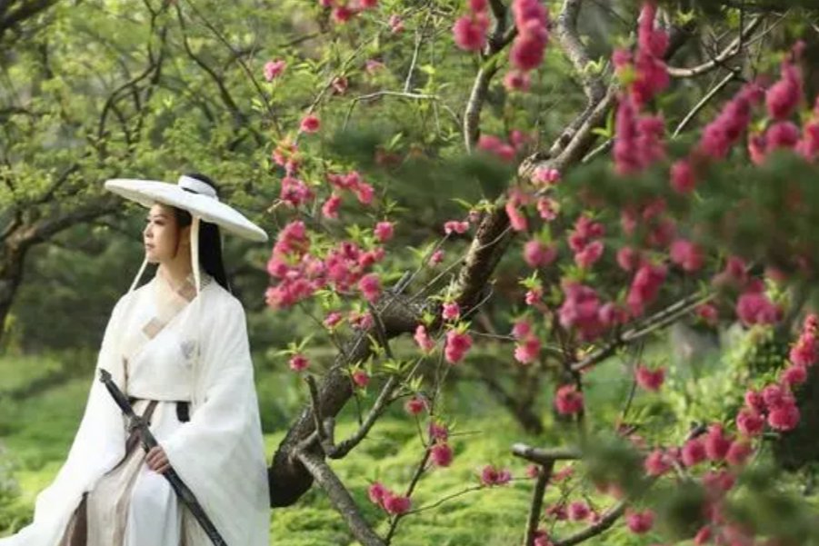 月坠花折正确的意思