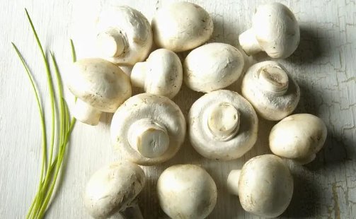 口蘑中的口字源于哪儿