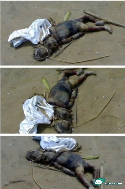 谁有水猴的照片