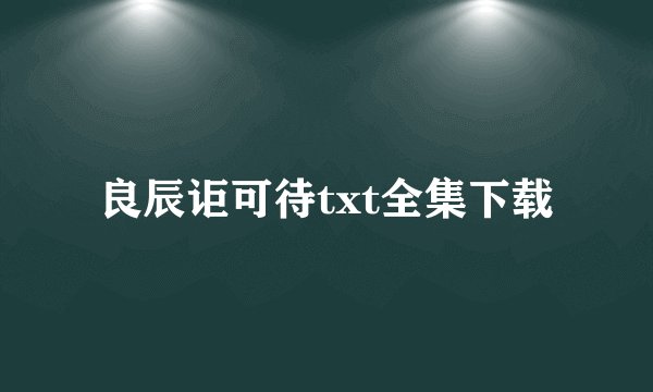 良辰讵可待txt全集下载