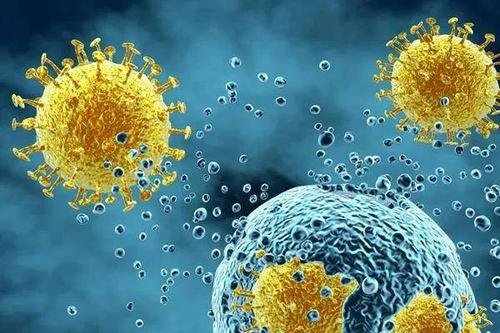 四川现国内未有过的奥密克戎变异株，其传播力有多强？