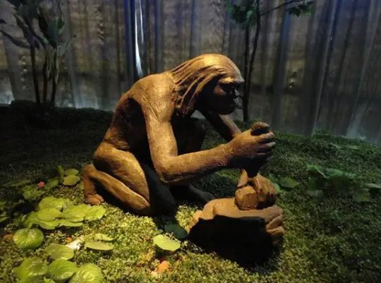 人类存在多少年了