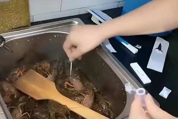 上海一女子给龙虾做抗原检测引热议，网友们讨论的焦点是什么？