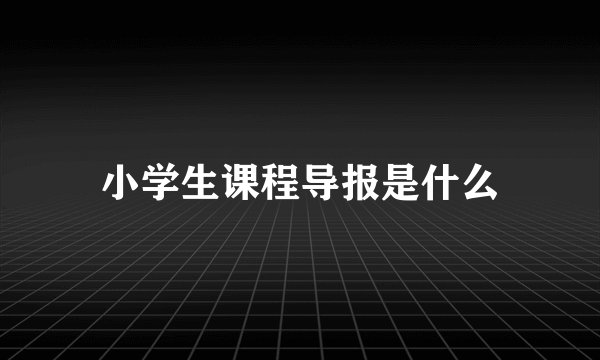 小学生课程导报是什么