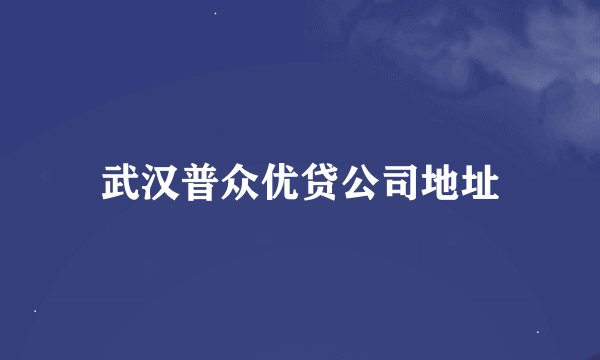 武汉普众优贷公司地址