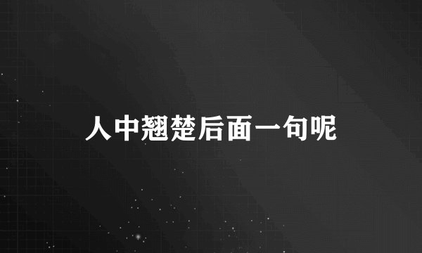 人中翘楚后面一句呢